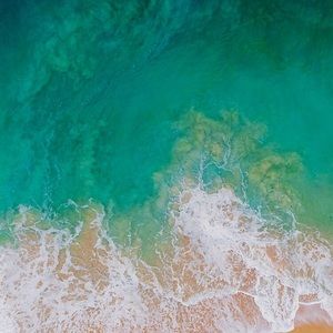 Meet your Posher, Mubarka